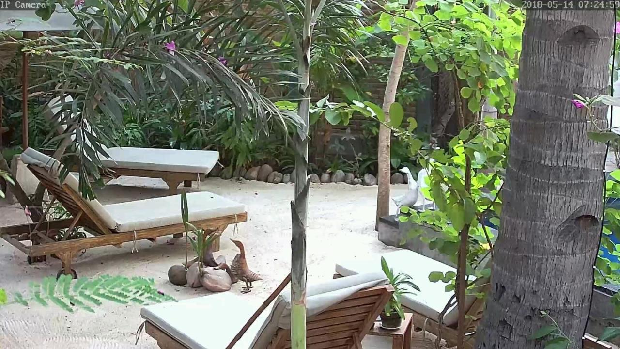 Villas Light House - Eco-Traditional Joglo Gili Trawangan Exterior photo